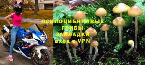 кокс Алексеевка