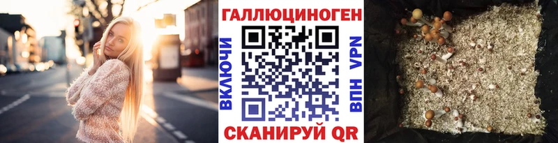 Галлюциногенные грибы Magic Shrooms  Краснознаменск 